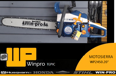 MOTOSIERRA WP2450.20